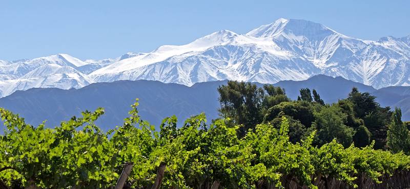 Mendoza Day Tours and Activities - Argentina - On The Go Tours