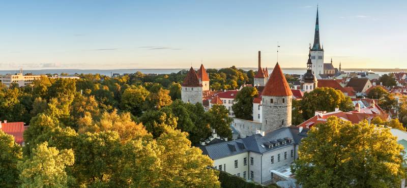 The skyline of Tallinn in Estonia with its church spires and greenery